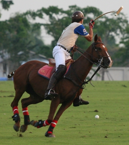 Cabeza grande nearside open back