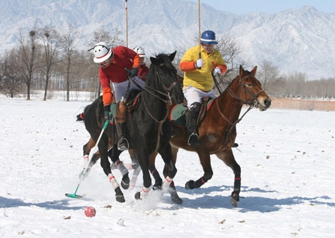 Polo in China