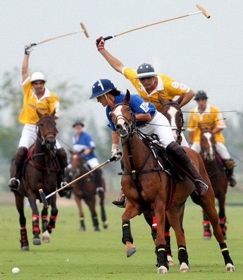 Tacos in the air -- Fearsome Yellow bearing down on Khun Robin of Polo Escape