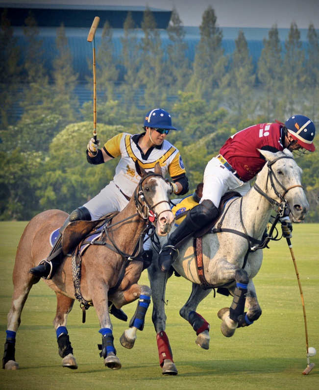 Max and Ed go Head-to-Head