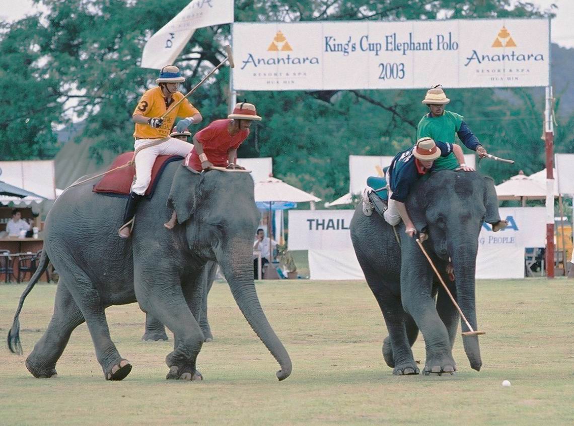 Elephant Polo in Thailand -- Chivas Regal vs. Thailand Nokia